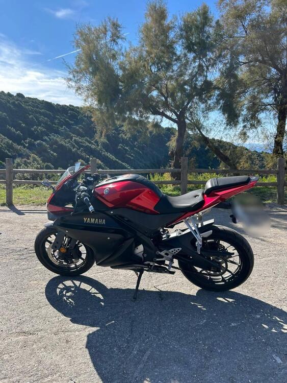 Yamaha YZF R125 (2017 - 18) (2)