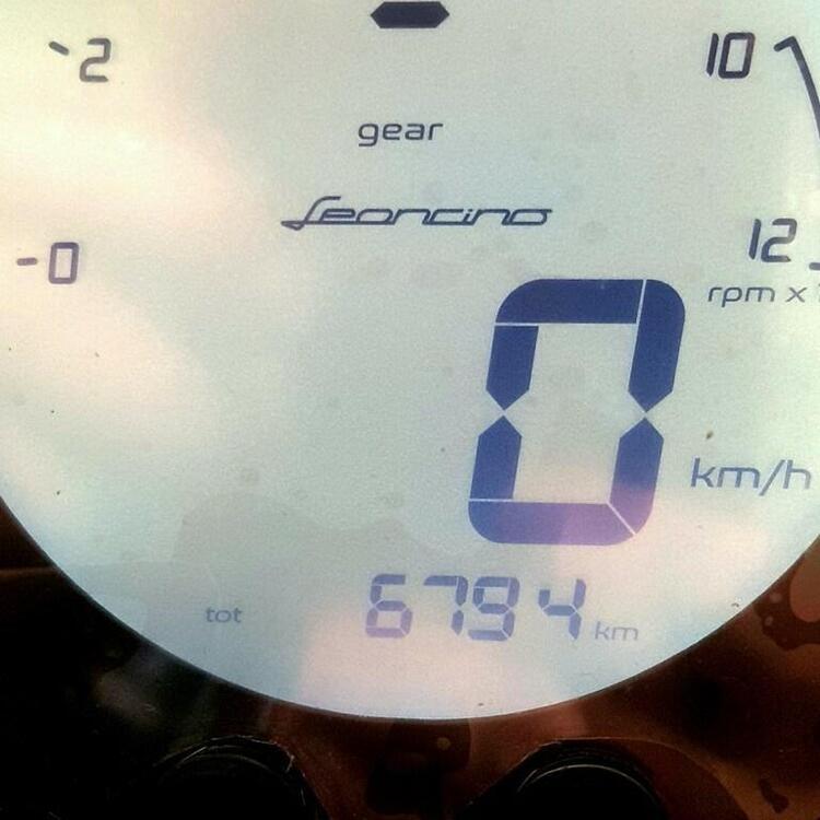 Benelli Leoncino 500 Trail (2021 - 25) (5)