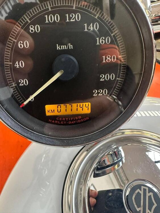 Harley-Davidson 1200 Custom (2004 - 06) - XL 1200C (4)