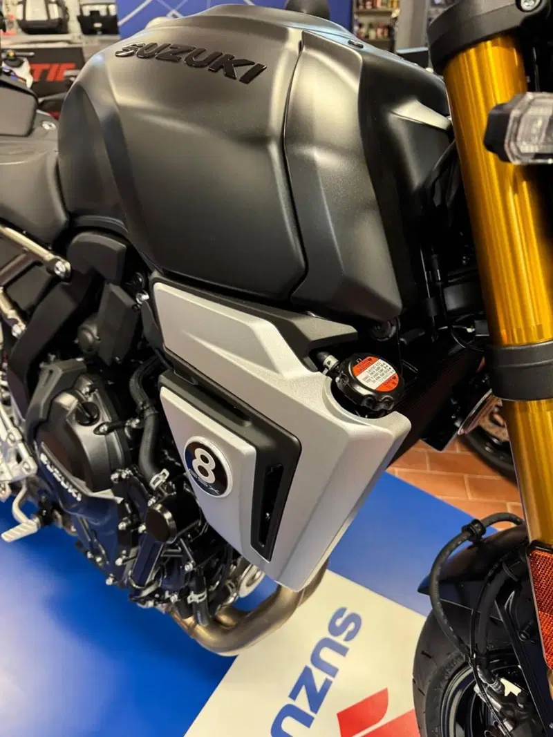 Suzuki GSX-8T (2025 - 26) (5)