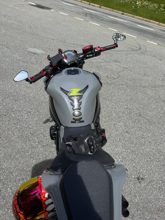 Kawasaki Z 900 (2017 - 18) (5)
