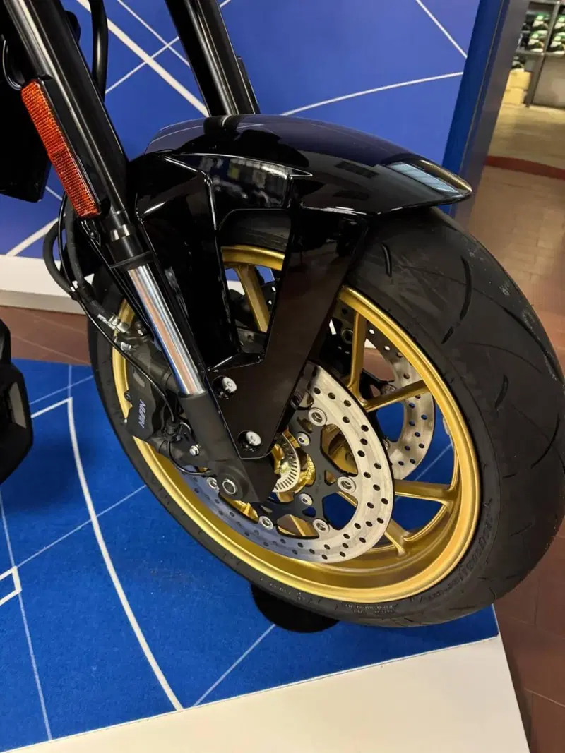 Suzuki GSX-8TT (2025 - 26) (14)