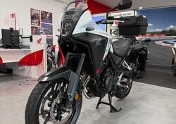 Honda NX500 (2024 - 25) usata