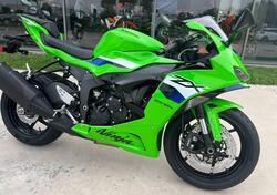 Kawasaki Ninja 636 ZX-6R (2024 - 26) nuova