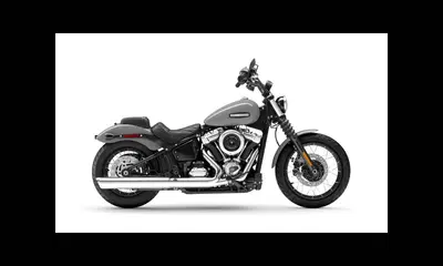 Harley-Davidson Street Bob 117 (2025 - 26) nuova