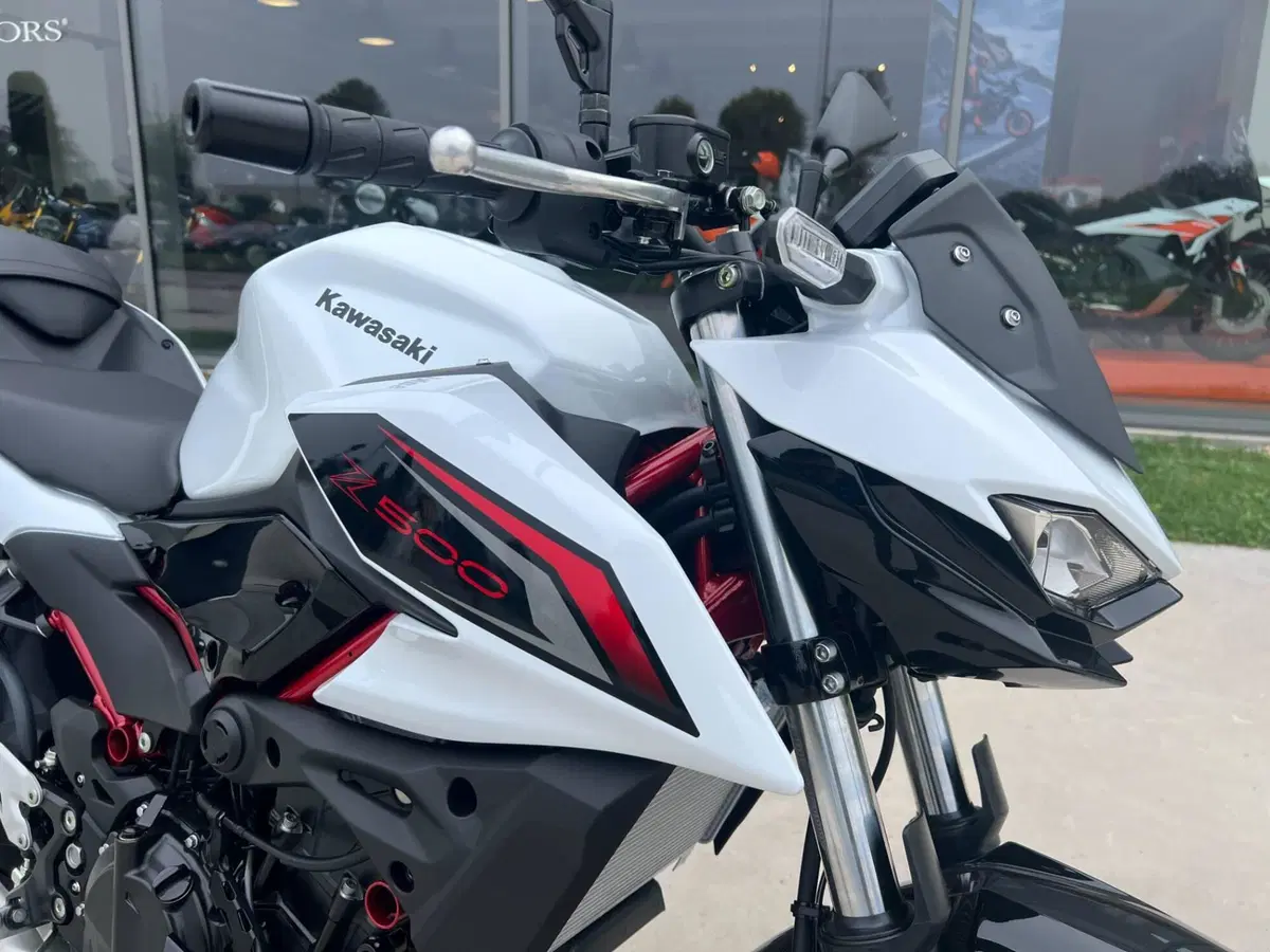 Kawasaki Z 500 SE (2024 - 26) (2)