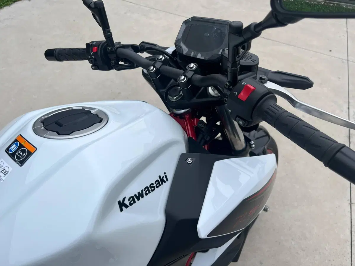 Kawasaki Z 500 SE (2024 - 26) (3)