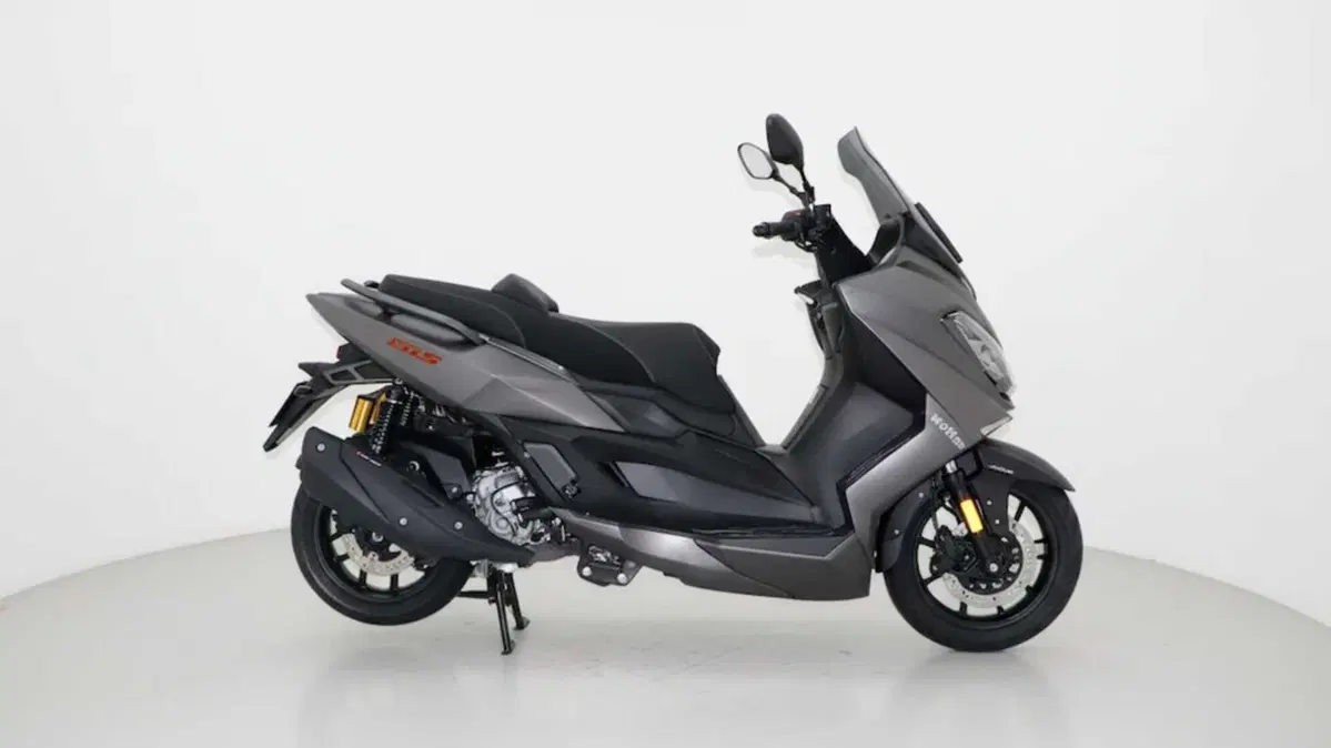 Wottan Motor ST-S 300 (2025)