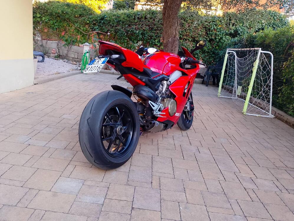 Ducati Panigale V4 1100 (2018 - 19) (3)