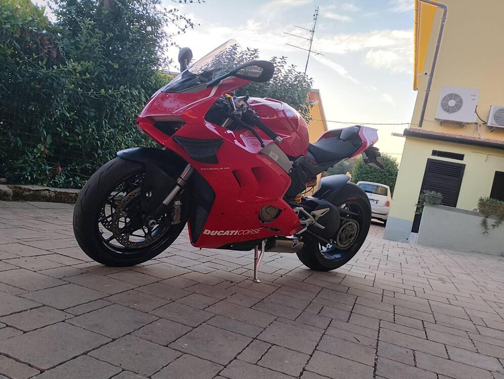 Ducati Panigale V4 1100 (2018 - 19) (4)
