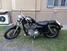 Harley-Davidson 883 Standard (1987 - 93) - XLH (6)