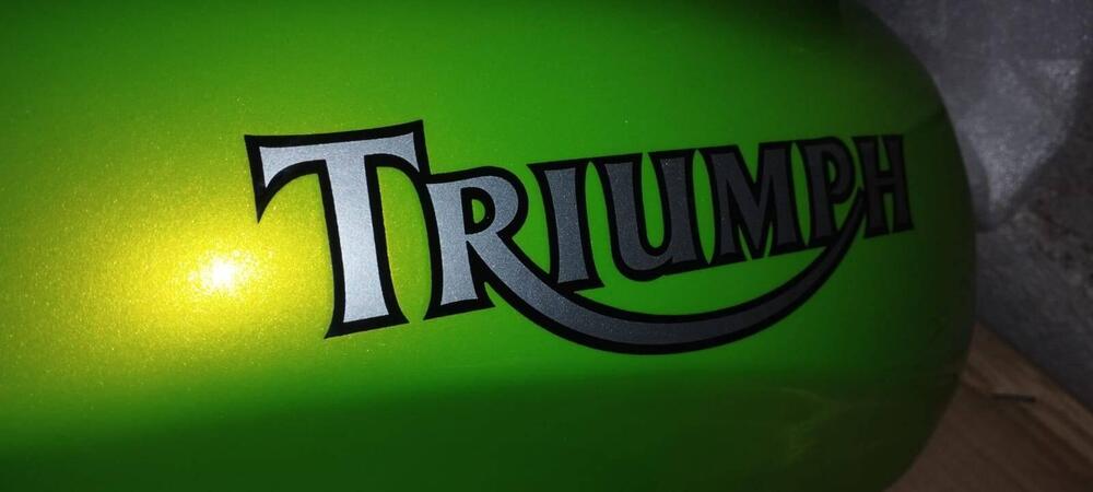 serbatio speed triple 885/955 roulette green Triumph (2)