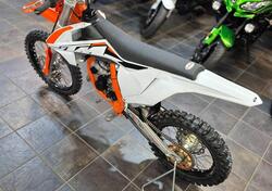 KTM 85 SX (2023) usata