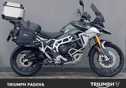 Triumph Tiger 900 Rally Pro (2024 - 25) usata