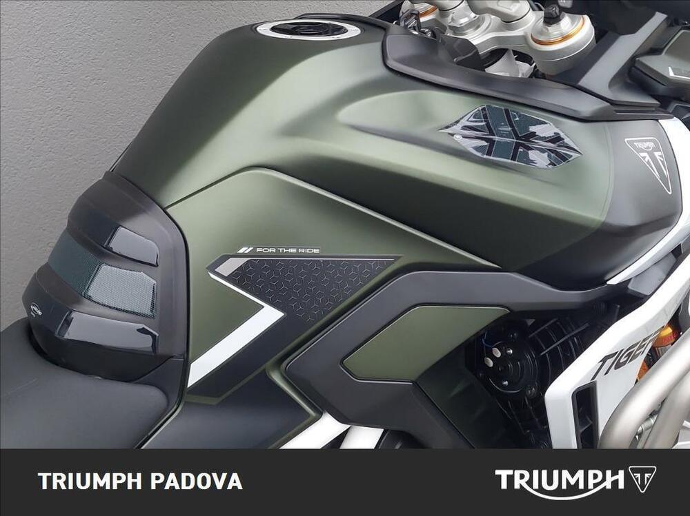Triumph Tiger 900 Rally Pro (2024 - 25) (4)