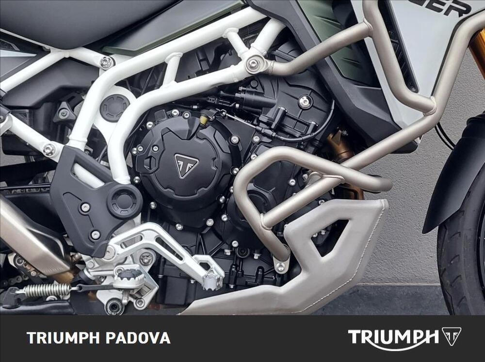 Triumph Tiger 900 Rally Pro (2024 - 25) (3)