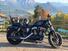 Harley-Davidson 1200 Forty-Eight (2016 - 20) (12)