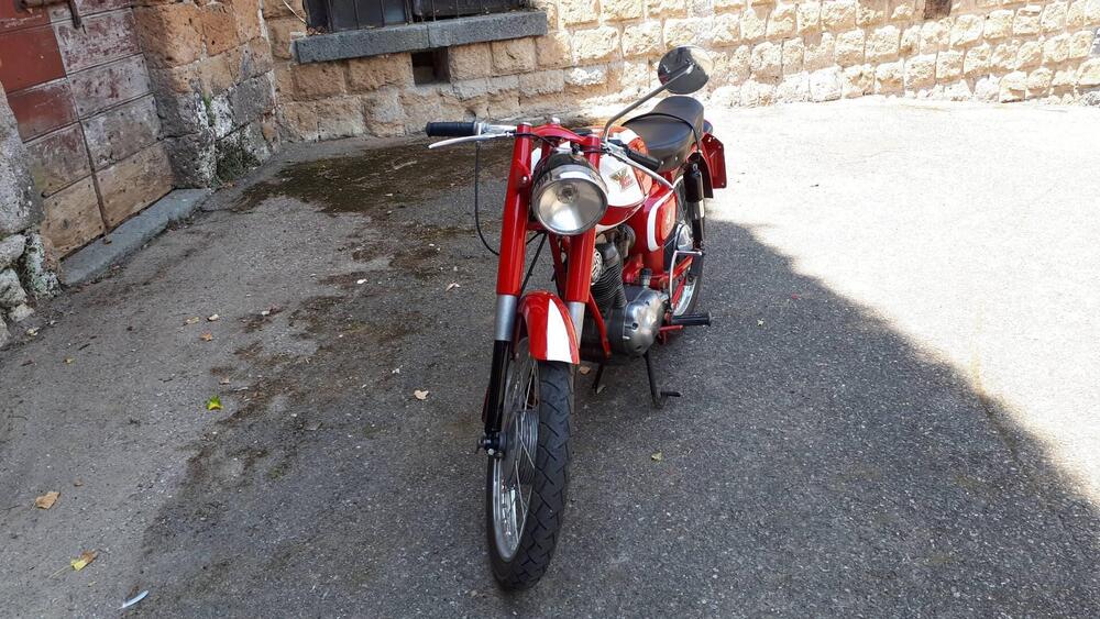 Morini Corsaro 125 (4)