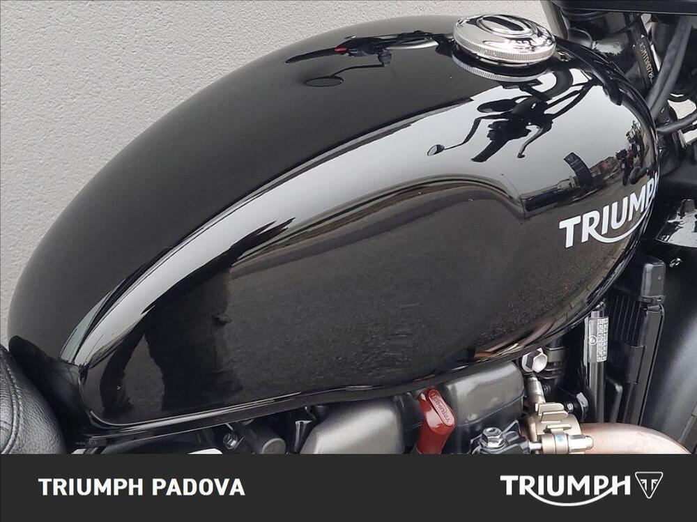 Triumph Scrambler 900 (2023 - 25) (4)