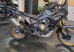 Voge Valico 800DSX Rally (2025) nuova