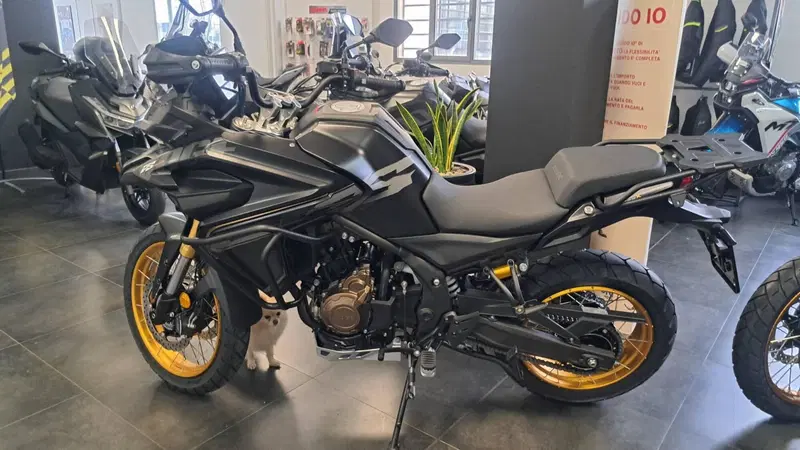 Voge Valico 625DSX (2025 - 26)