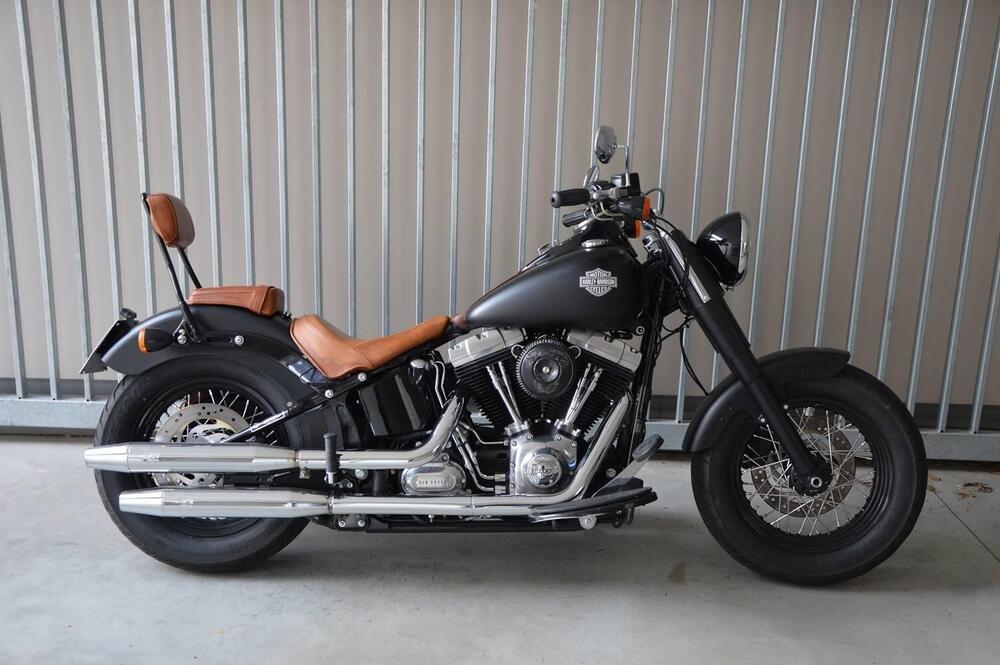 Harley-Davidson 1690 Slim (2011 - 16) - FLS (2)