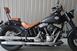 Harley-Davidson 1690 Slim (2011 - 16) - FLS (6)