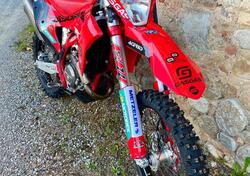 GASGAS EC 350 F (2023) usata