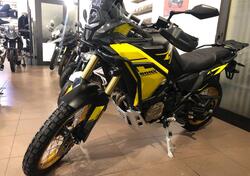 Voge Valico 800DSX Rally (2025) nuova