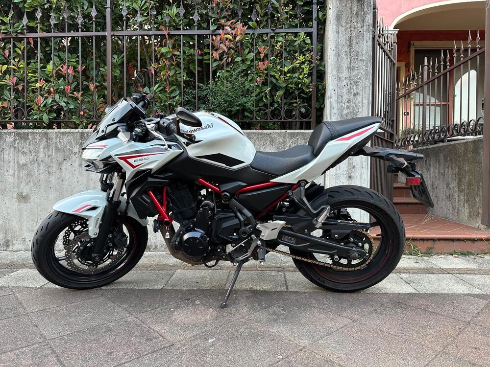 Kawasaki Z 650 (2021 - 24)
