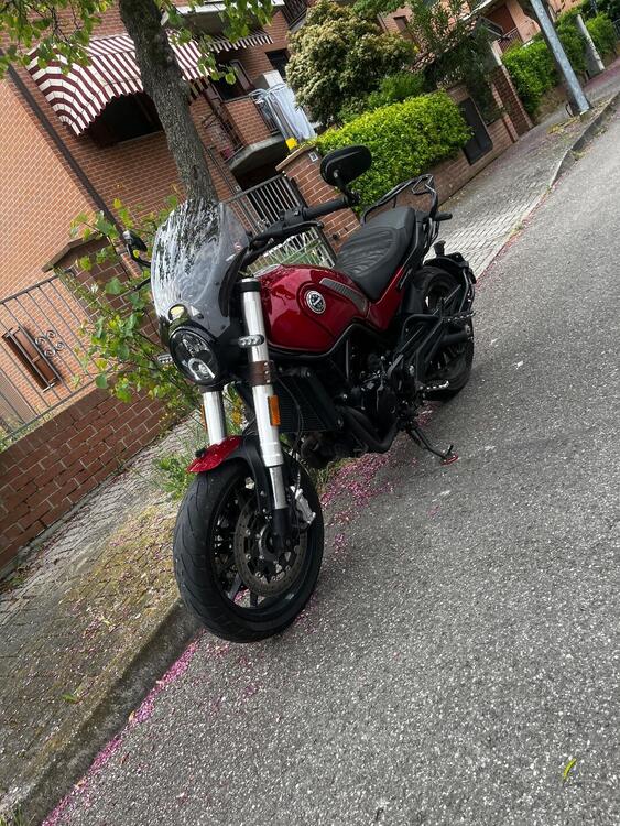 Benelli Leoncino 500 (2021 - 25)