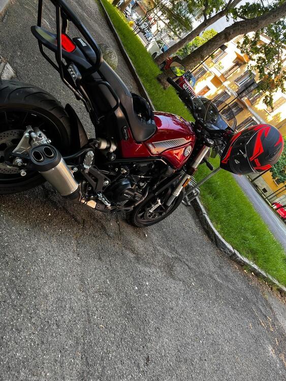 Benelli Leoncino 500 (2021 - 25) (2)