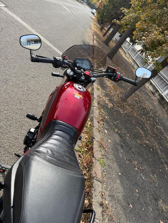 Benelli Leoncino 500 (2021 - 25) (4)