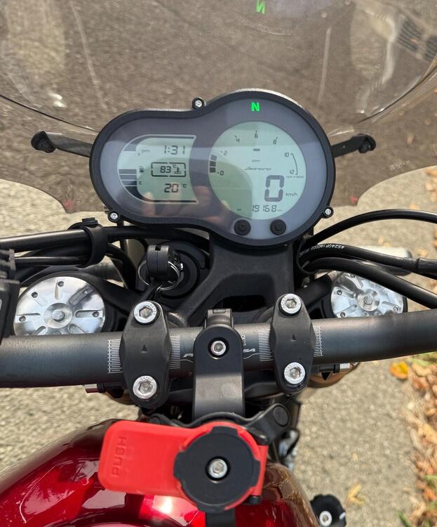 Benelli Leoncino 500 (2021 - 25) (5)