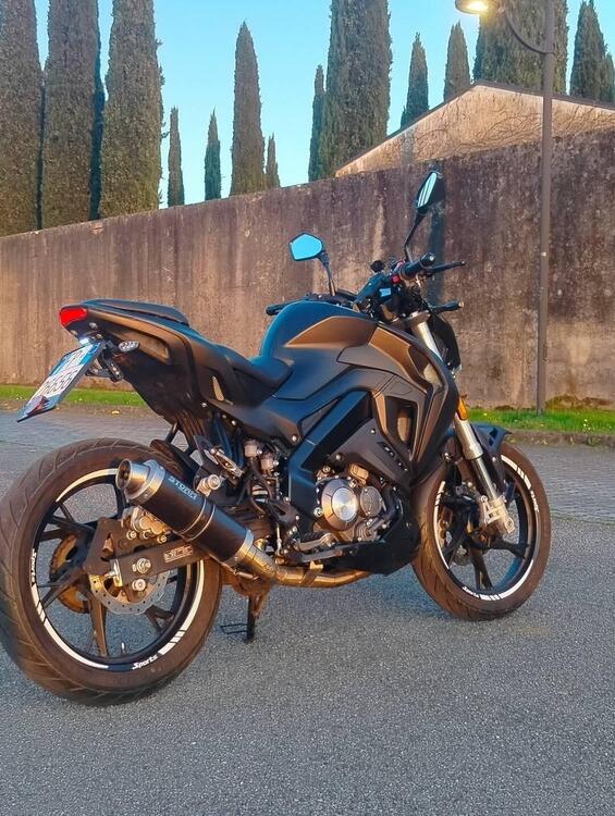 Keeway Motor RKF 125 (2021 - 24) (2)