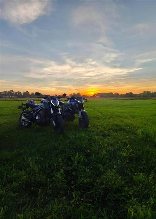 Keeway Motor RKF 125 (2021 - 24) (5)