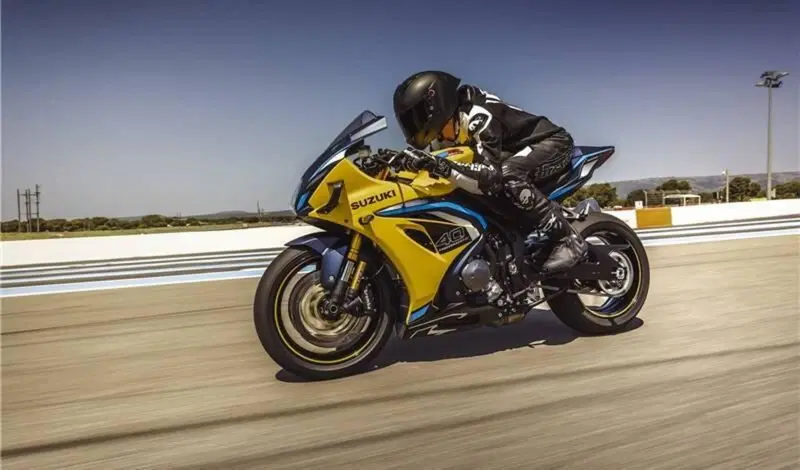 Suzuki GSX-R1000R Anniversary (2020) (2)