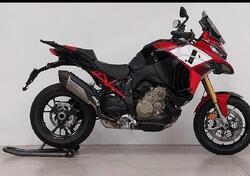 Ducati Multistrada V4 Pikes Peak (2021 - 24) usata
