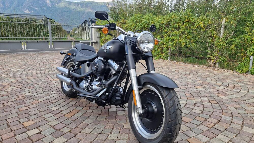 Harley-Davidson 1584 Fat Boy (2008 - 10) - FLSTF (2)