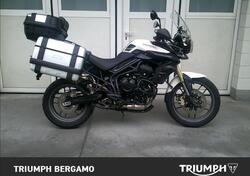 Triumph Tiger 800 ABS (2010 - 14) usata