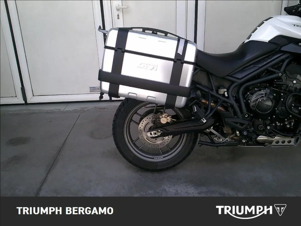 Triumph Tiger 800 ABS (2010 - 14) (6)