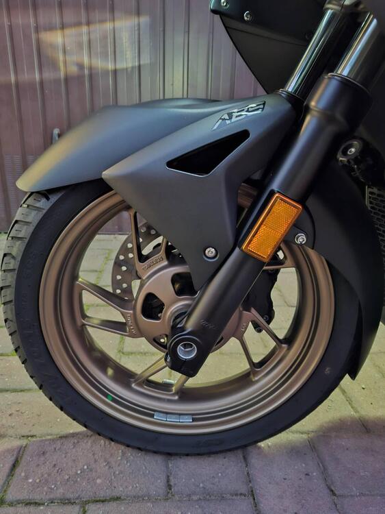 Zontes ZT350-D (2023 - 25) (4)