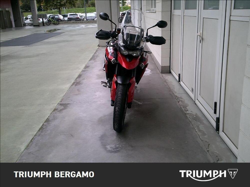 Triumph Tiger 900 GT Pro (2020 - 23) (5)