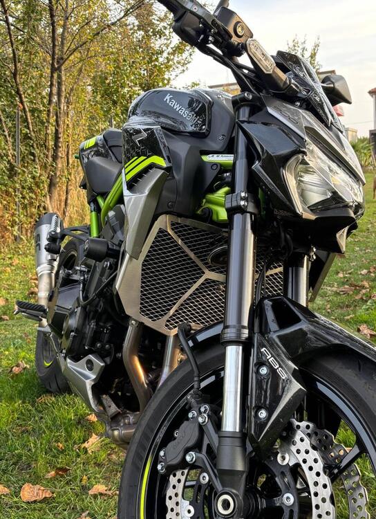 Kawasaki Z 900 (2020) (2)