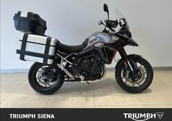 Triumph Tiger 900 GT Pro (2024 - 25) usata