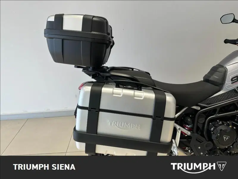 Triumph Tiger 900 GT Pro (2024 - 26) (8)