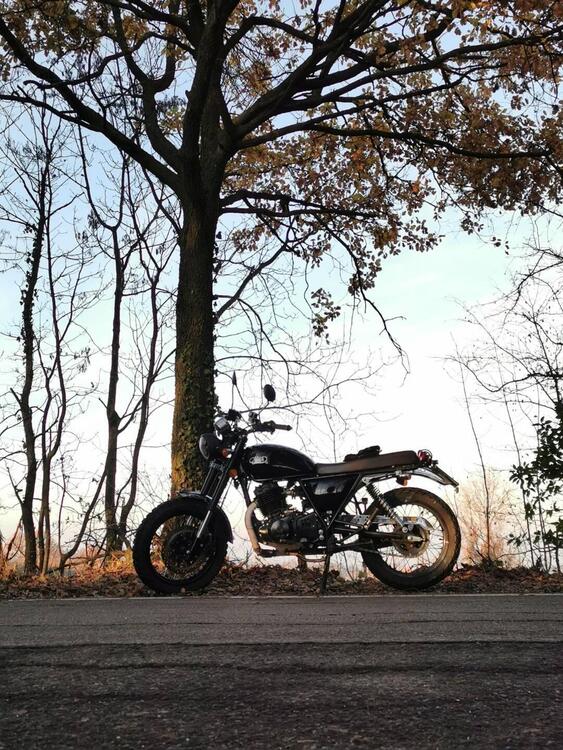 Mash Italia Two Fifty 250 (2017 - 20) (3)