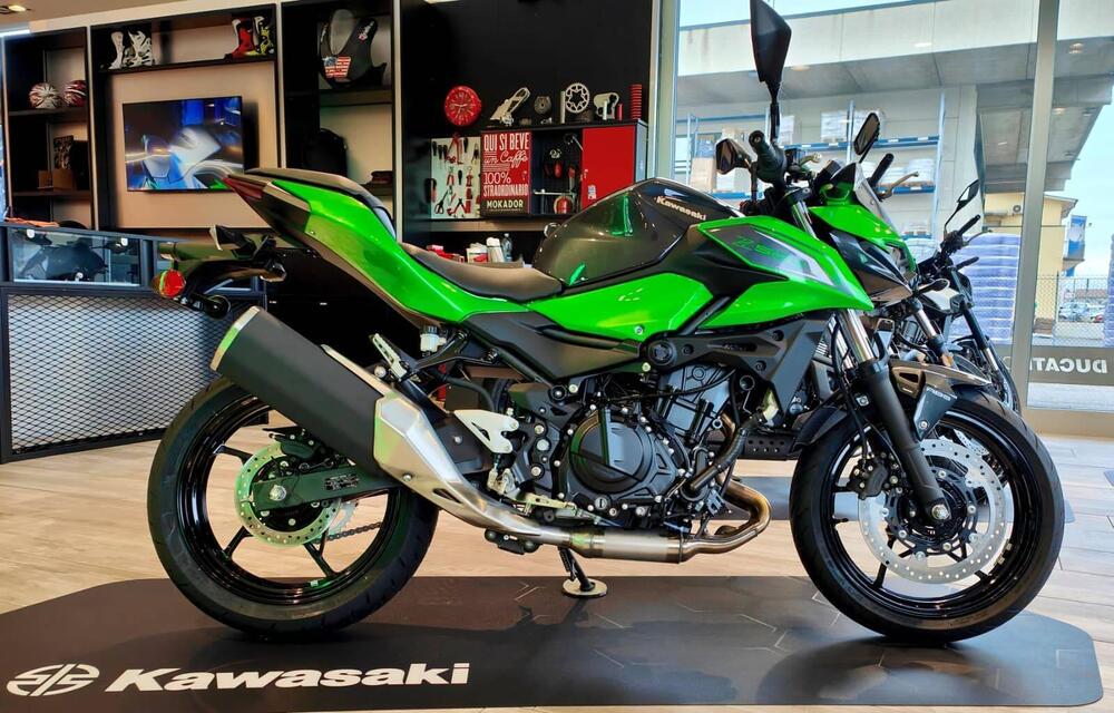 Kawasaki Z 500 (2024 - 26) (2)