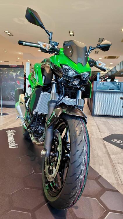 Kawasaki Z 500 (2024 - 26) (3)