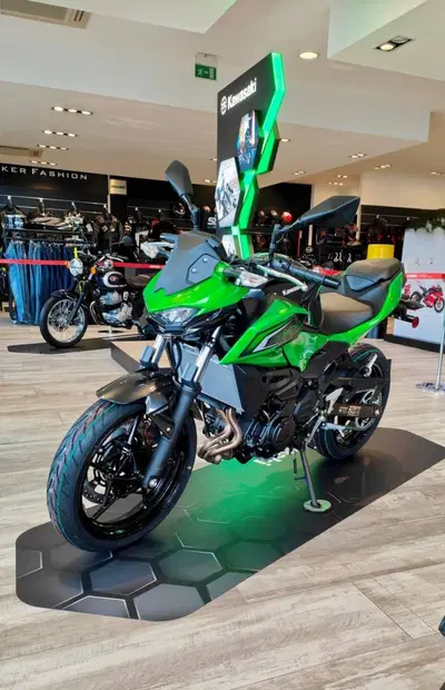 Kawasaki Z 500 (2024 - 26) nuova